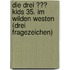 Die drei ??? Kids 35. Im Wilden Westen (drei Fragezeichen)