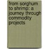 From Sorghum To Shrimp: A Journey Through Commodity Projects