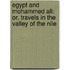 Egypt and Mohammed Ali: Or, Travels in the Valley of the Nile