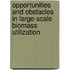 Opportunities and Obstacles in Large-Scale Biomass Utilization