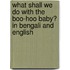 What Shall We Do With The Boo-Hoo Baby? In Bengali And English