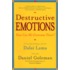 Destructive Emotions: A Scientific Dialogue With The Dalai Lama