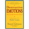 Destructive Emotions: A Scientific Dialogue With The Dalai Lama door Daniel P. Goleman
