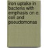 Iron Uptake in Bacteria with Emphasis on E. Coli and Pseudomonas