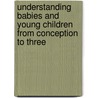 Understanding Babies And Young Children From Conception To Three by Christine Macintyre