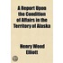 A Report Upon The Condition Of Affairs In The Territory Of Alaska