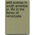 Wild Scenes In South America; Or, Life In The Llanos Of Venezuela