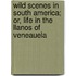 Wild Scenes in South America; Or, Life in the Llanos of Veneauela