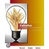 Calculus for Business, Economics, Life Sciences and Social Sciences