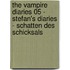 The Vampire Diaries 05 - Stefan's Diaries - Schatten des Schicksals