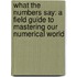 What The Numbers Say: A Field Guide To Mastering Our Numerical World