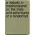 A Nobody in Mashonaland; Or, the Trials and Adventures of a Tenderfoot