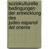 Soziokulturelle Bedingungen der Entwicklung des Judeo-Espanol del Oriente door Ricarda Röleke