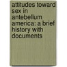 Attitudes Toward Sex In Antebellum America: A Brief History With Documents door Helen Lefkowitz Horowitz