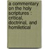 a Commentary on the Holy Scriptures : Critical, Doctrinal, and Homiletical