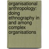 Organisational Anthropology: Doing Ethnography in and Among Complex Organisations by Christina Garsten