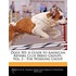 Dogs 101: A Guide To American Kennel Club Breed Groups, Vol. 3 - The Working Group