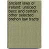 Ancient Laws of Ireland: Uraicect Becc and Certain Other Selected Brehon Law Tracts door William Maunsell Hennessy