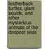 Leatherback Turtles, Giant Squids, and Other Mysterious Animals of the Deepest Seas