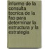 Informe de La Consulta Tecnica de La Fao Para Determinar La Estructura y La Estrategia