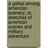 A Gallop Among American Scenery; Or, Sketches Of American Scenes And Military Adventure by Augustus E. Silliman