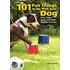 101 Fun Things To Do With Your Dog: Tricks, Games, Sports, And Other Playtime Activities