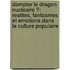 Dompter Le Dragon Nucleaire ?: Realites, Fantasmes Et Emotions Dans La Culture Populaire