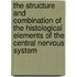 The Structure and Combination of the Histological Elements of the Central Nervous System