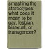 Smashing The Stereotypes: What Does It Mean To Be Gay, Lesbian, Bisexual, Or Transgender?