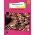 Longman Book Project: Non-Fiction: Level A: Animals Topic: Robin Redbreasts And Their Young
