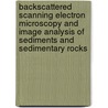 Backscattered Scanning Electron Microscopy and Image Analysis of Sediments and Sedimentary Rocks door David H. Krinsley