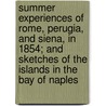 Summer Experiences of Rome, Perugia, and Siena, in 1854; And Sketches of the Islands in the Bay of Naples by J.E. Westropp