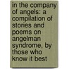 In the Company of Angels: A Compilation of Stories and Poems on Angelman Syndrome, by Those Who Know It Best door Pamela Jean Lyman