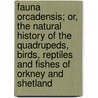 Fauna Orcadensis; Or, The Natural History Of The Quadrupeds, Birds, Reptiles And Fishes Of Orkney And Shetland by George Low