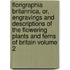 Florigraphia Britannica, Or, Engravings and Descriptions of the Flowering Plants and Ferns of Britain Volume 2