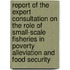 Report of the Expert Consultation on the Role of Small-scale Fisheries in Poverty Alleviation and Food Security