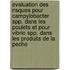 Evaluation Des Risques Pour Campylobacter Spp. Dans Les Poulets Et Pour Vibrio Spp. Dans Les Produits de La Peche