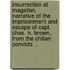 Insurrection at Magellan. Narrative of the Imprisonment and Escape of Capt. Chas. H. Brown, from the Chilian Convicts ..
