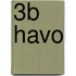 3b havo