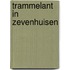 Trammelant in Zevenhuisen