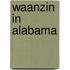 Waanzin in Alabama