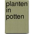 Planten in potten