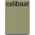 Celibaat