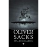 Hallucinaties by Oliver Sacks