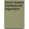 Boom Basics Intellectuele eigendom door R.W. Holzhauer