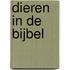 Dieren in de Bijbel