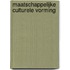 Maatschappelijke culturele vorming