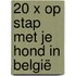20 x op stap met je hond in België