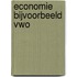 Economie bijvoorbeeld vwo
