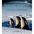 Frozen planet